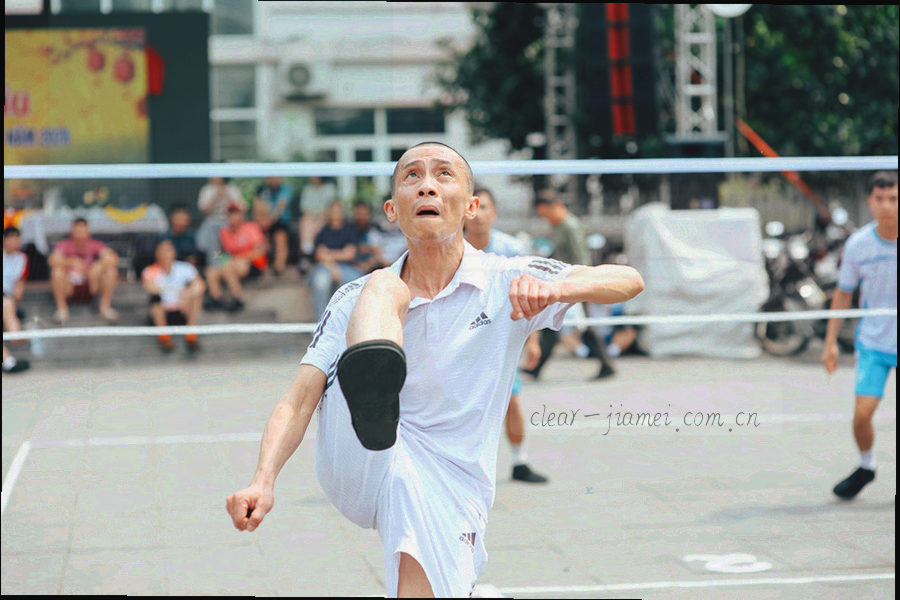 问答卡片与球队资料字段局部组合的抽象信息图
